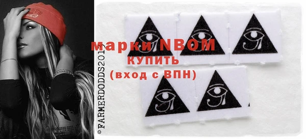 индика Лабытнанги