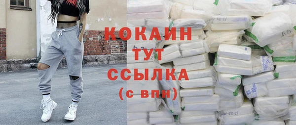 индика Лабытнанги