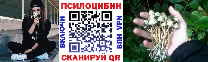 Псилоцибиновые грибы Psilocybine cubensis  Купить где  Рузаевка 